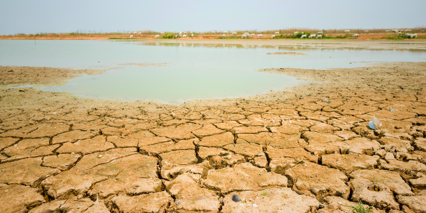 With the growth of data centers, water worries persist