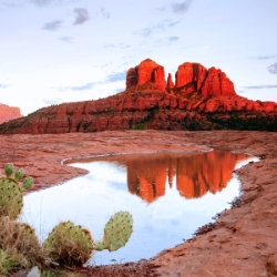 Small pool of water in AZ