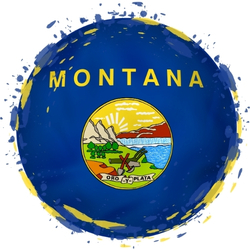 Montana flag in sphere