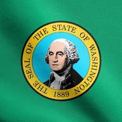 Washington state flag