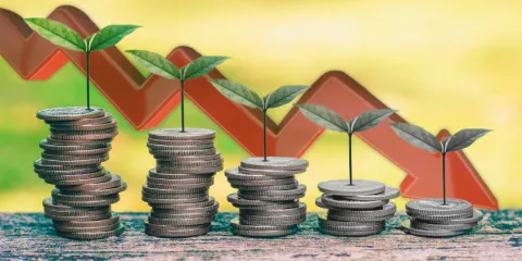 ESG's weak returns