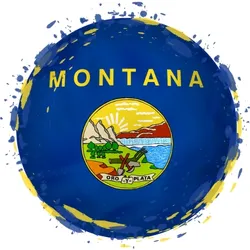 Montana flag in sphere